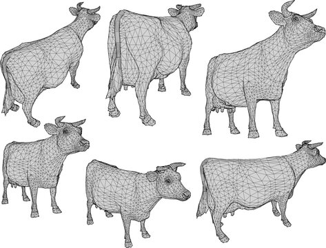 Vector sketch illustration of a farm dairy cow with horns