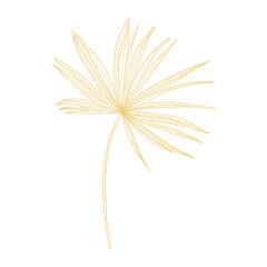 Fototapeta na wymiar Gold outline illustration with tropical leaf