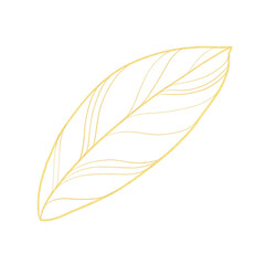 Gold outline illustration with tropical leaf