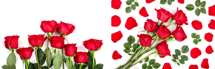 Obraz premium beautiful red rose with leaves isolated on white background with copy space for your text. Top view. Flat lay pattern