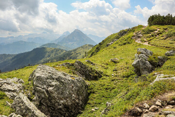 Fototapeta na wymiar Green and Rocky Landscape in Austria. Summer Travel Scenery in Europe. Beautiful Flachau Nature.