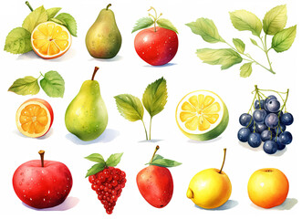 collection set of fruits and berries watercolor
