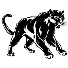 panther vector illustration