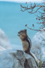 rodent eating infront of lake