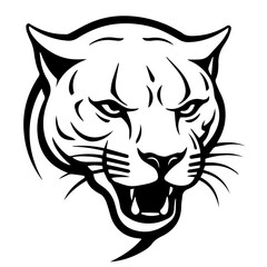 panther vector illustration © DLC Studio