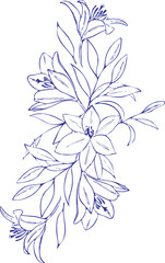 Bouquet of beautiful flowers and leaves. Hand drawn Botanical Illustration with blue ink. Vector outline. Blue on white.