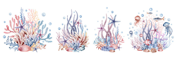 Composition of marine plants. Set of marine watercolor illustrations of sea corals, starfish, algae, shells, bubbles. Isolated on white background. © Elena