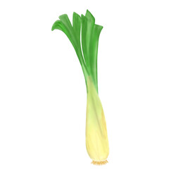 Leek.