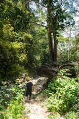 San Ramón Waterfall Hike Nicaragua