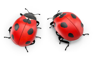 ladybug on transparent background © mika