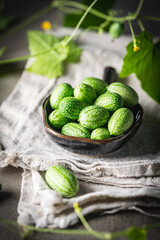 Cucamelon, Melothria scabra