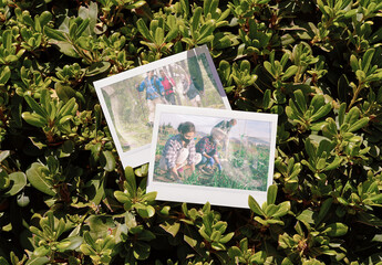 Mockup of two customizable instant camera photo print available in different effects in hedge