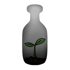 plants in water bottles