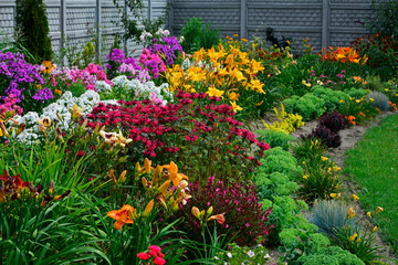 Pysznogłówka szkarłatna, liliowce i floksy wiechowate w ogrodzie (Monarda didyma, Hemerocallis i Phlox paniculata), ogród kwiatowy, ogród z kwitnącymi byliami, colorful flower bed,	
 - obrazy, fototapety, plakaty