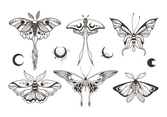Mystical celestial moth and butterfly clipart bundle, magic black and white insects silhouettes in vector, unreal hand drawn night moth, isolated elements set - obrazy, fototapety, plakaty