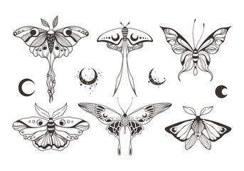 Mystical celestial moth and butterfly clipart bundle, magic black and white insects silhouettes in vector, unreal hand drawn night moth, isolated elements set