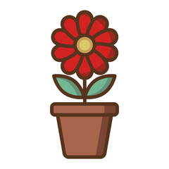 Red Flower In The Pot
