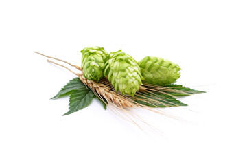 Green hops and spikelets.