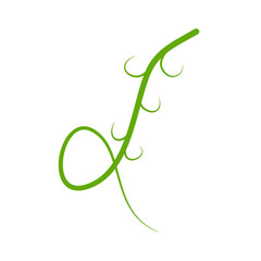 Obraz premium Green Liana Illustration