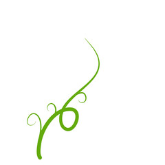 Green Liana Illustration