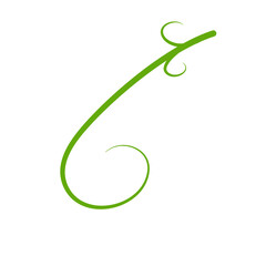 Obraz premium Green Liana Illustration