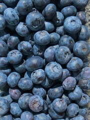 blueberries in a bowl