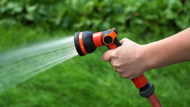 Hand holding a garden hose and watering a green garden. Hand use hoses to spray water. Water injection through a rubber tube. Watering plants in the yard
