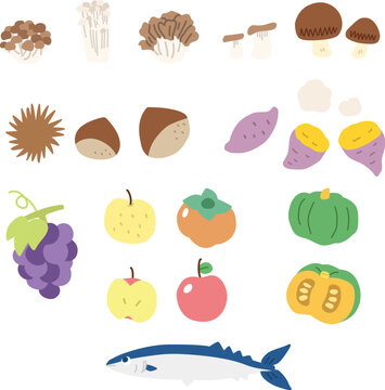 食欲の秋をイメージした秋の食材のシンプルイラストセット
