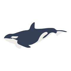 Cute vector ocean illustration with killer whale.Underwater cartoon creatures.Marine animals.Cute childrens design for fabric, clothing,book, postcard,wrapping paper