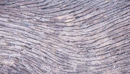 Naturally worn, old wooden surface patterns are ideal for designing a background.