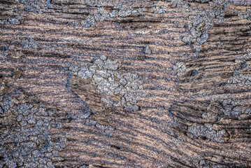 Naturally worn, old wooden surface patterns are ideal for designing a background.