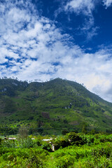 Panoramic view mountains in Guatemala, area of las verapaces in central america, source of oxygen and fresh water.