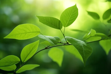 Fototapeta na wymiar Close up green leaves with blur green background.Generative Ai.