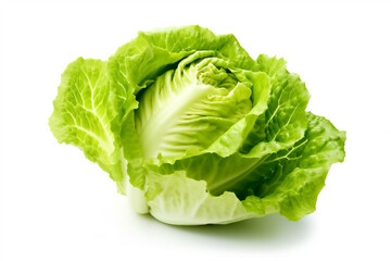 Green lettuce on White Background.Generative Ai.