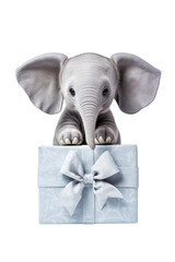 Cuddly toy elephant with gift box.