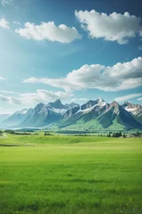 Tuinposter Panoramic natural landscape with green grass field, blue sky with clouds and mountains in the background © SilvaDesigner