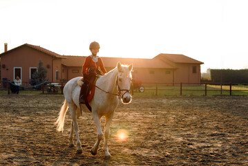 Little Boy Riding A White Horse. Horseback Riding. Dressage horse in training, front view. Dressage horse in the arena.