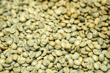 Unroasted Green Arabica Raw Coffee Beans Background.
