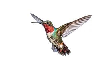 Photo sur Plexiglas Colibri Hummingbird  isolated on white background.Generative Ai.