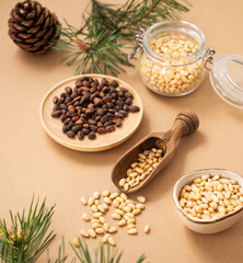 Pine nuts in a bowl and scoop on a yellow background with branches of pine needles. The concept of natural, organic and healthy superfoods