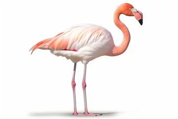 Fotobehang Flamingo isolated on white background.Generative Ai. © Inlovehem