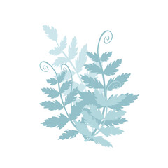 Fern blue stylized plant on white flat design stock vector illustration for web, for print, for fabric print