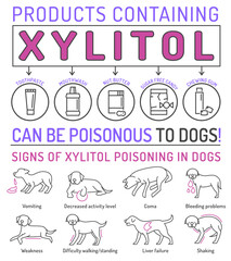 Signs of xylitol poisoning in dogs. Editable vector illustration