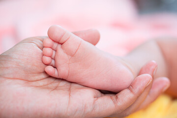 Baby feet,Baby feet in hands, mother, mother and her baby, happy family concept, beautiful conception image of childbirth.