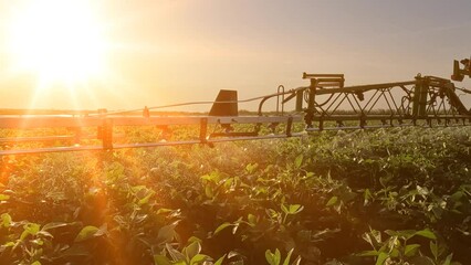 Crop sprayer spraying pesticide on a soybean field at sunset, tractor and crop sprayer protection plants to increase crop yield, slow motion