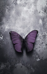 purple butterfly on a old peeling and cracking concrete wall.