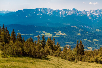 Alpine summer view with a paraglider at Mount Wank, Garmisch-Partenkirchen, Bavaria, Germany