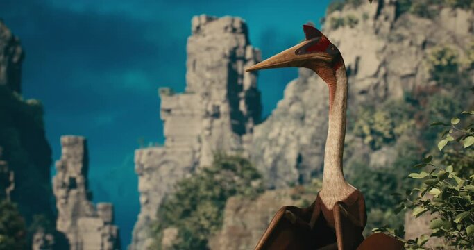 The pterodactyl prepares to hunt.