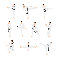 Fototapeta na wymiar Taekwondo sport character set. Flat vector illustration isolated on white background