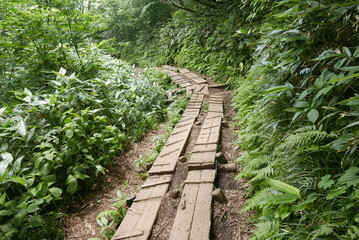 Mount Tanigawa is One of Japan&rsquo;s famous 100 mountains. Mount Tanigawa, Tanigawadake is a craggy, rugged mountain found on the border of Gunma and Niigata prefectures in northern Minakami.